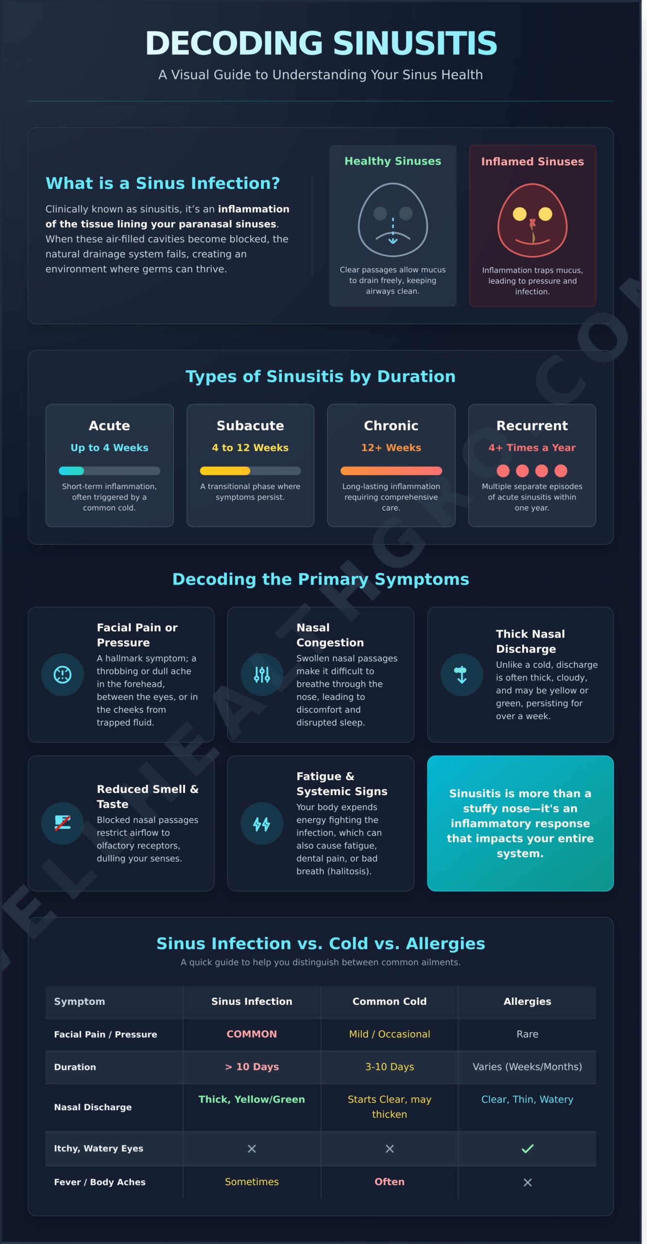Sinus Infection (Sinusitis): A Guide to Symptoms, Causes, and Lasting Relief - Infographic